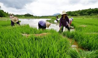 江西农业大学属于什么级别 江西五套公共农业频道